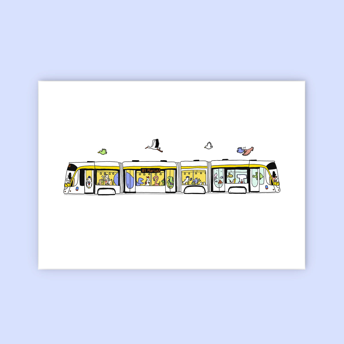 Tram 81