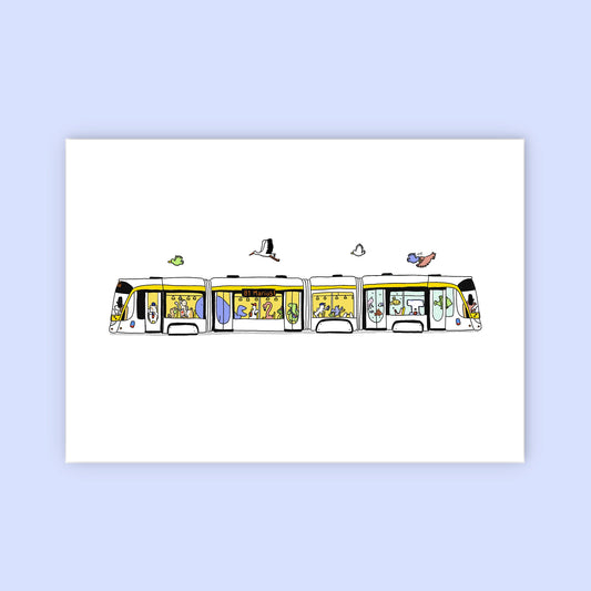 Tram 81