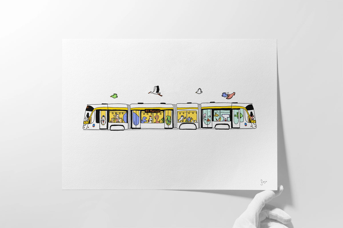 Tram 81
