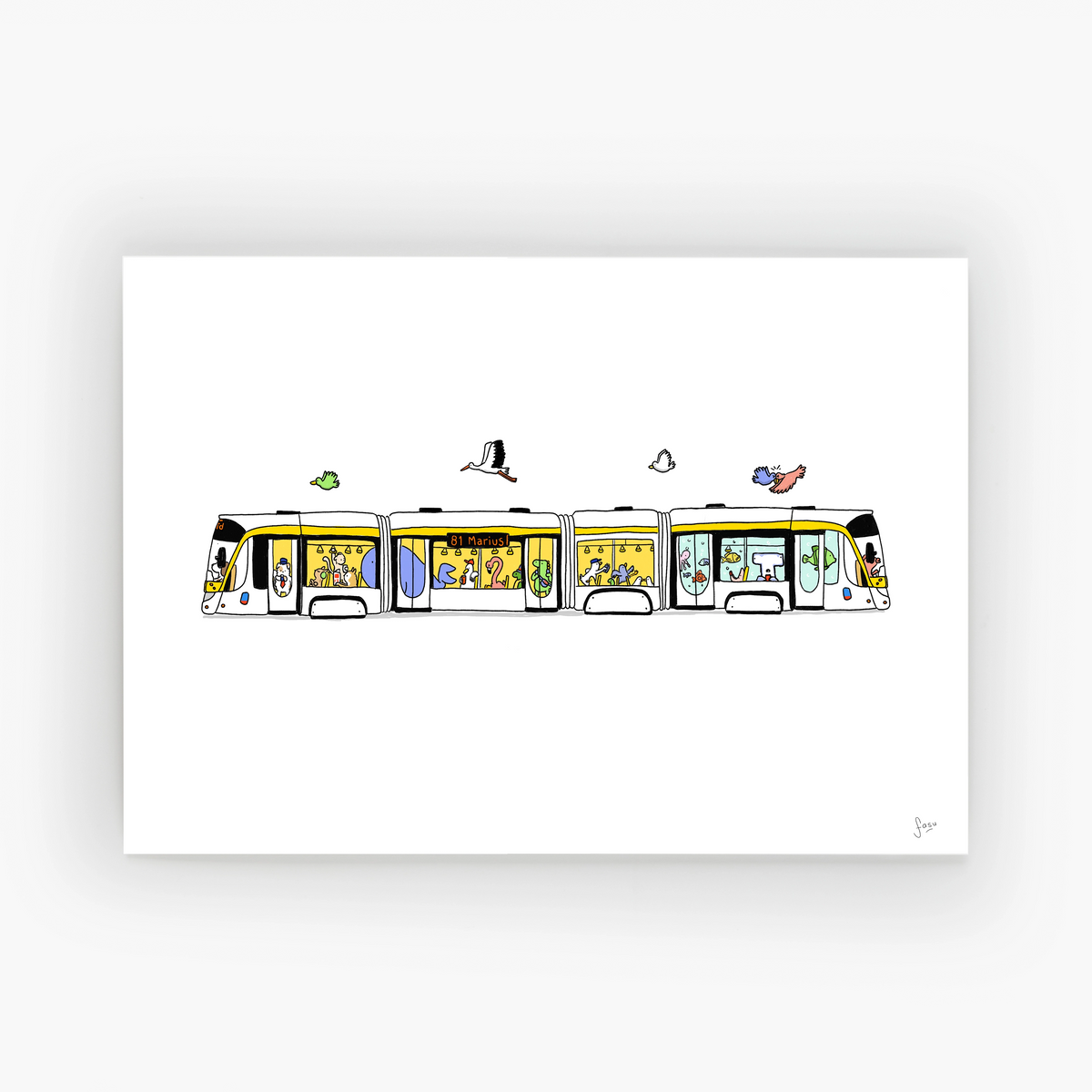 Tram 81