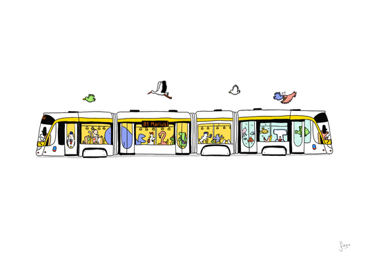 Tram 81