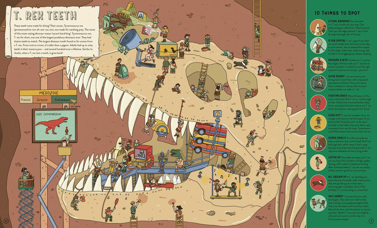 Up Close and Incredible Dinosaurs book illustration spread by Fasu